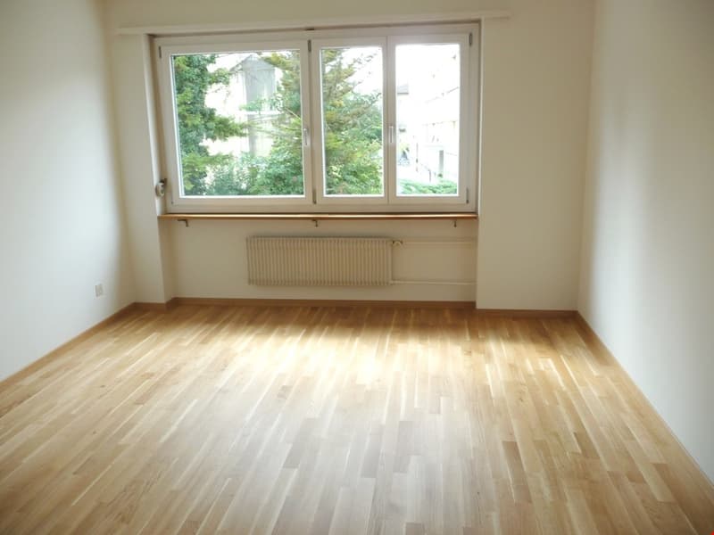 4.5-Zimmerwohnung direkt an der Zihl (4)