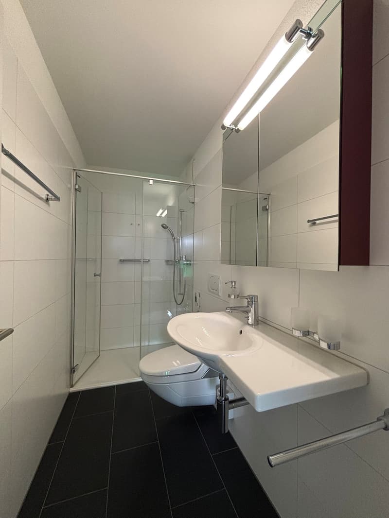 Helle 5.5-Zimmer-Wohnung mit Jurablick in Ipsach (10)