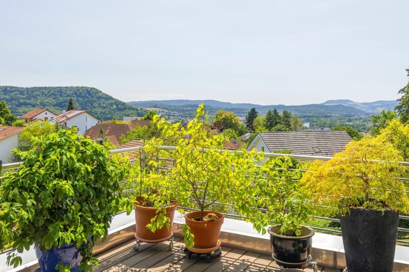 Zuoberst in Untersiggenthal - Ein Paradies für Mensch und Tier direkt an der Landwirtschaftszone (7)