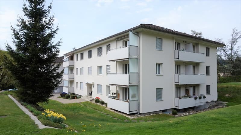 Sonnige 4-Zimmerwohnung in Huttwil (1)