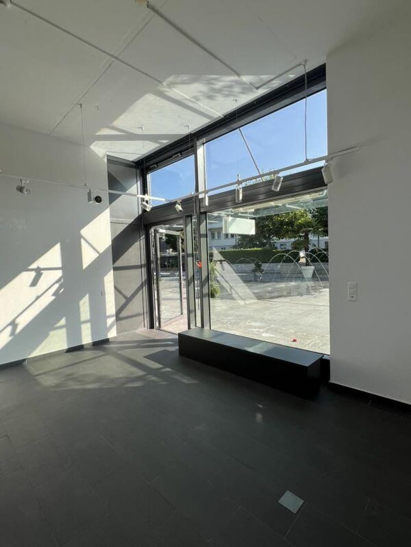 LADENLOKAL - BÜRO - SHOWROOM (6)