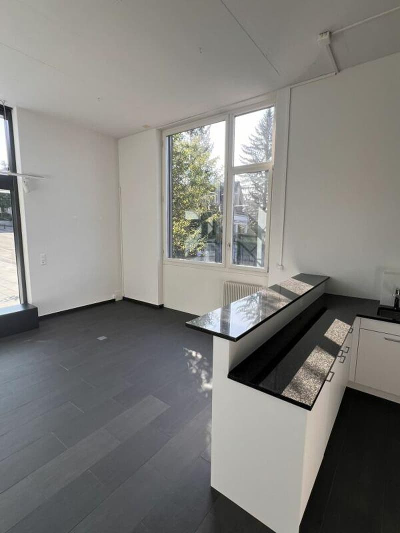 LADENLOKAL - BÜRO - SHOWROOM (10)