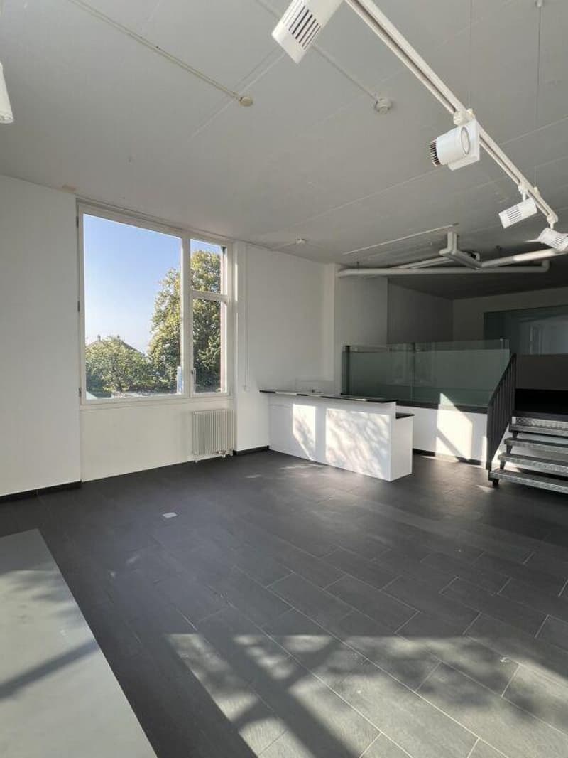 LADENLOKAL - BÜRO - SHOWROOM (9)