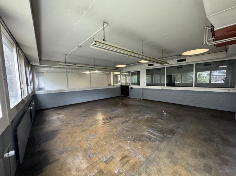 Atelier / Büro ab 180 m2 im Erdgeschoss (2)