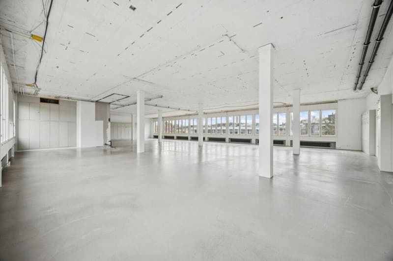 Zentrale Bürofläche im Edelrohbau - gestalten Sie Ihren neuen Standort (2)