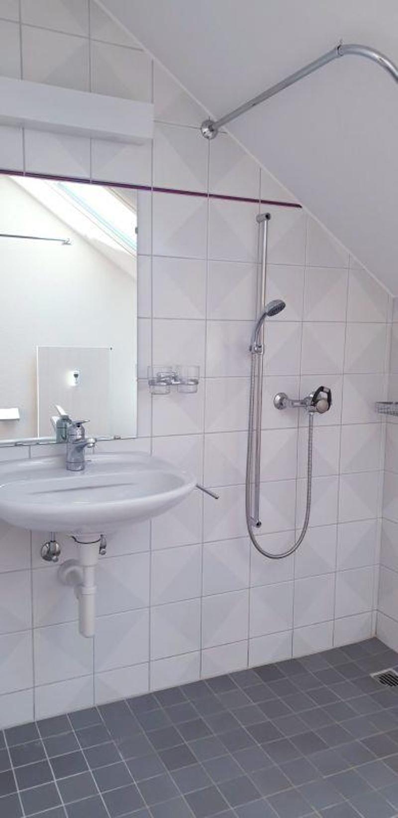 2.5-Zimmerwohnung, Dachgeschoss (4)