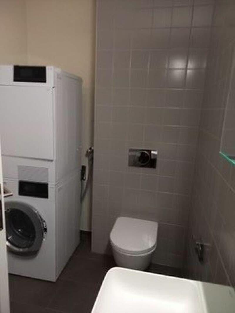 4.5 Zimmer-Wohnung in Burgdorf (10)