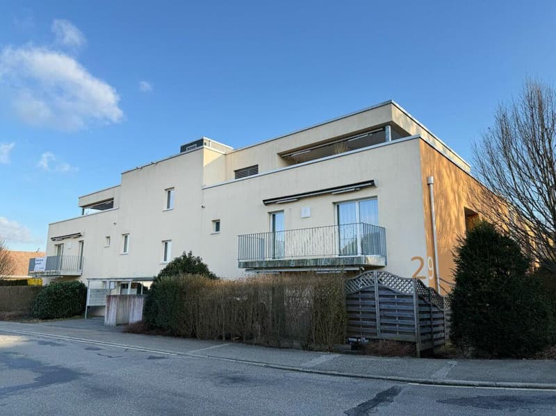 Attikawohnung mit grosser Terrasse (2)