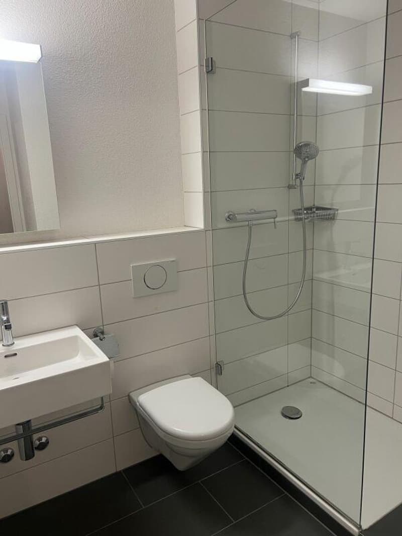 Moderne 2-Zimmerwohnung mit Balkon (2)