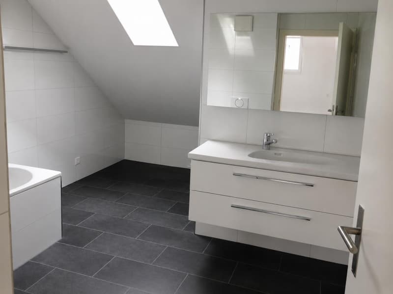 Charmante 2.5 Zimmerdachwohnung am Egelsee (5)