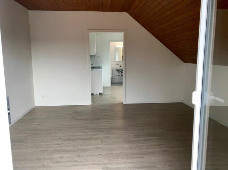 Charmante 1.5-Zimmer-Dachwohnung zum Wohlfühlen (7)