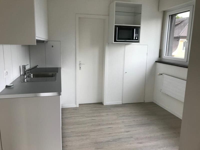 Charmante 1.5-Zimmer-Dachwohnung zum Wohlfühlen (3)