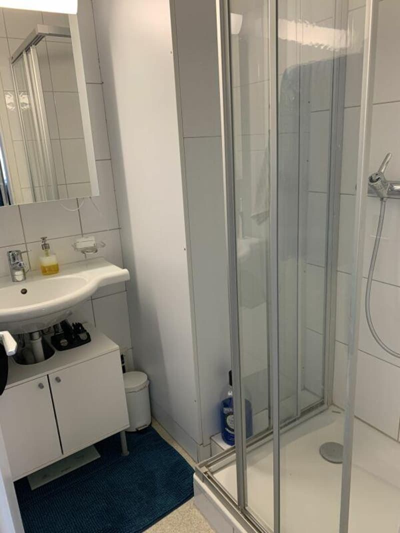 4-Zimmerwohnung an zentraler Lage (2)