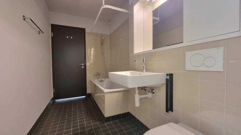 3.5-Zimmerwohnung an der Riedbachstrasse 82 im 3.OG (3)