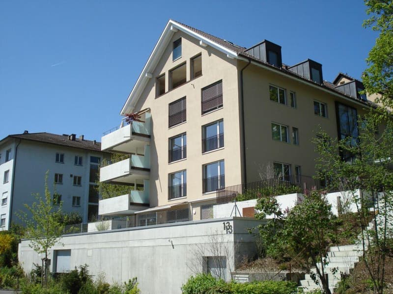 Wunderschöne 5 1/2-Zimmerwohnung mit Terrasse nähe Egelsee (1)