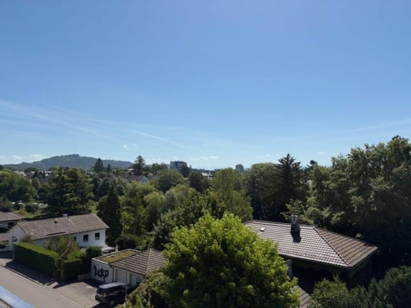 Wunderschöne 5 1/2-Zimmerwohnung mit Terrasse nähe Egelsee (3)