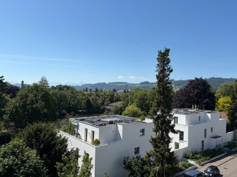 Wunderschöne 5 1/2-Zimmerwohnung mit Terrasse nähe Egelsee (4)