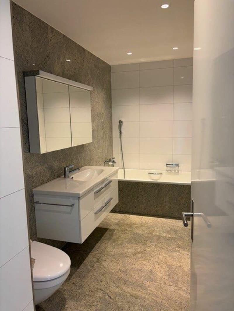 Wunderschöne 5 1/2-Zimmerwohnung mit Terrasse nähe Egelsee (8)