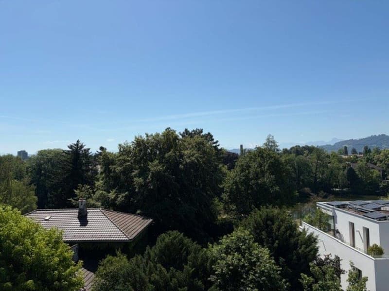 Wunderschöne 5 1/2-Zimmerwohnung mit Terrasse nähe Egelsee (5)