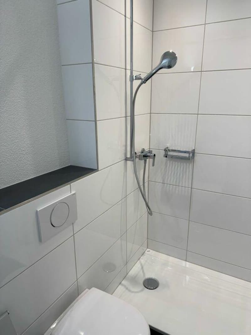 Renovierte 3.5-Zimmerwohnung mit zwei Balkonen im Schwabgut (4)