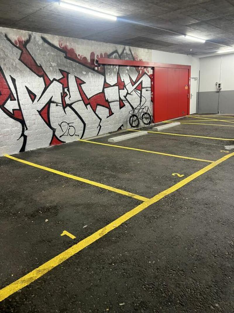 Einstellhallenplatz zu vermieten (2)