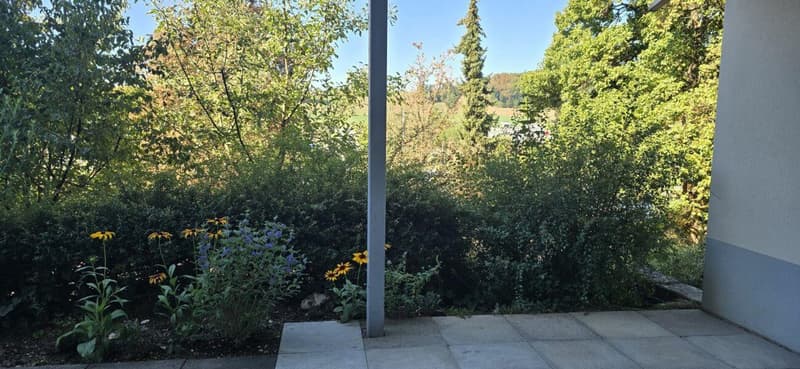 Schöne 1-Zimmerwohnung mit Gartensitzplatz (9)
