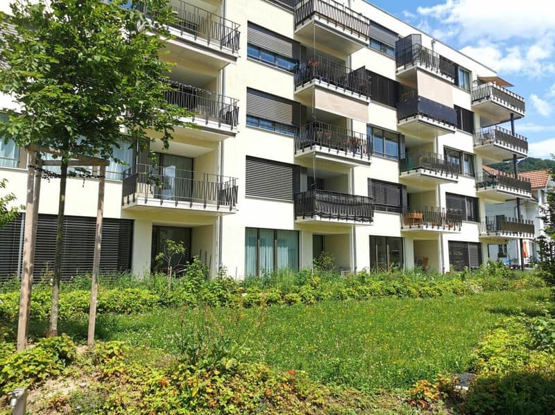 Helle 2.5 Zimmerwohnung in Burgdorf zu vermieten (1)