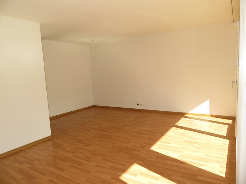 Charmante 4.5-Zimmerwohnung zu vermieten (3)