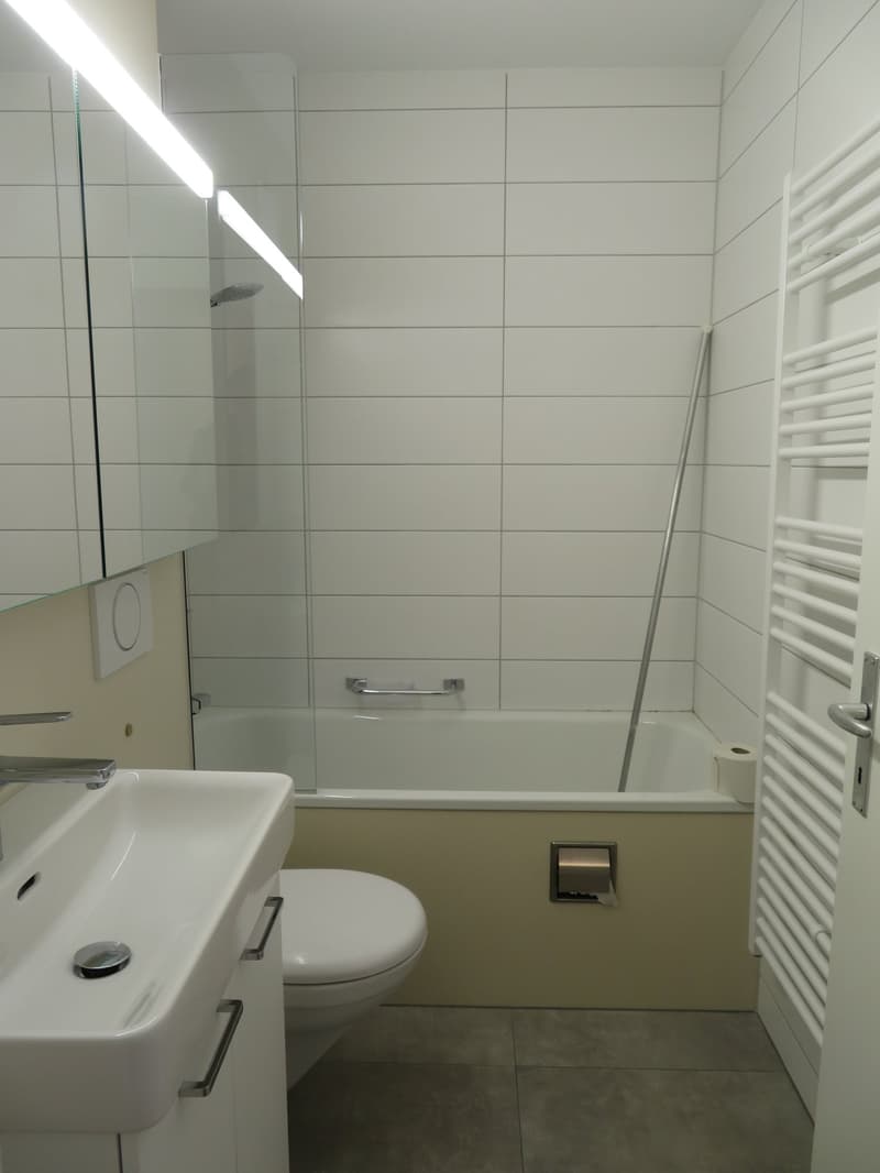 Charmante 4.5-Zimmerwohnung zu vermieten (11)