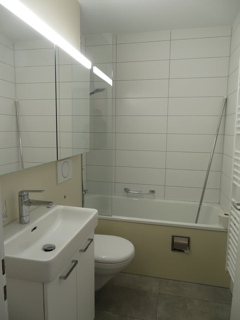 Charmante 4.5-Zimmerwohnung zu vermieten (10)