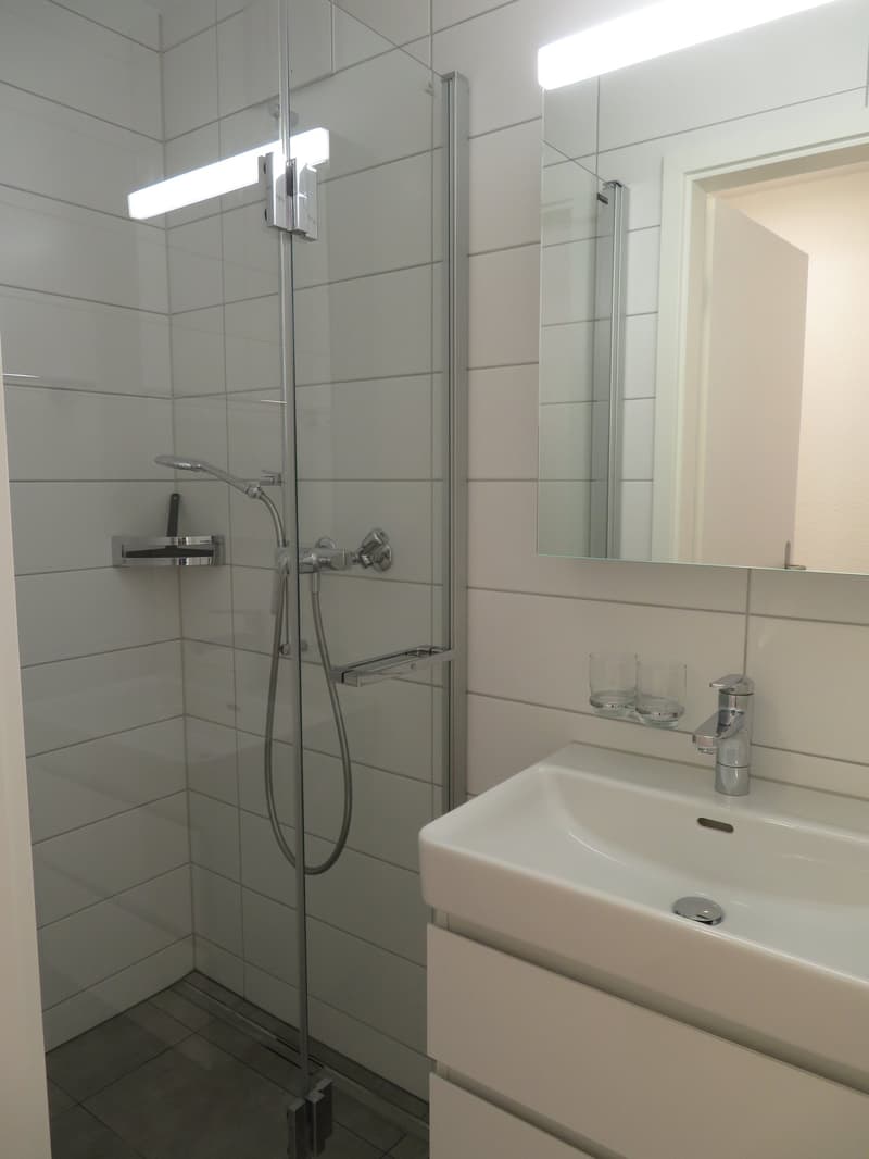 Charmante 4.5-Zimmerwohnung zu vermieten (12)