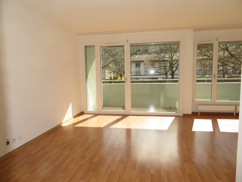 Charmante 4.5-Zimmerwohnung zu vermieten (1)