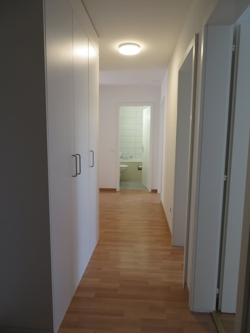 Charmante 4.5-Zimmerwohnung zu vermieten (7)