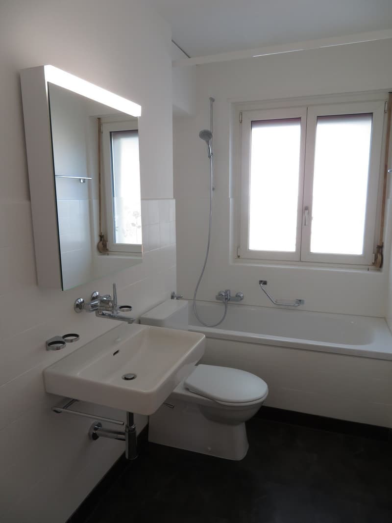 Frisch sanierte 2.5 Zimmerwohnung an ruhiger und sonniger Lage (8)