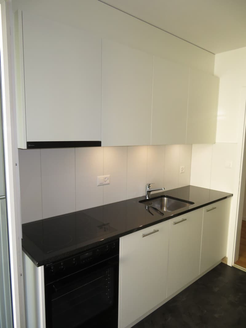 Frisch sanierte 2.5 Zimmerwohnung an ruhiger und sonniger Lage (2)
