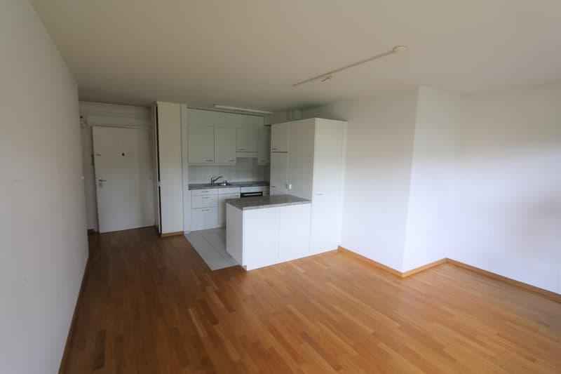 Ruhige 2.5-Zimmer-Wohnung (4)