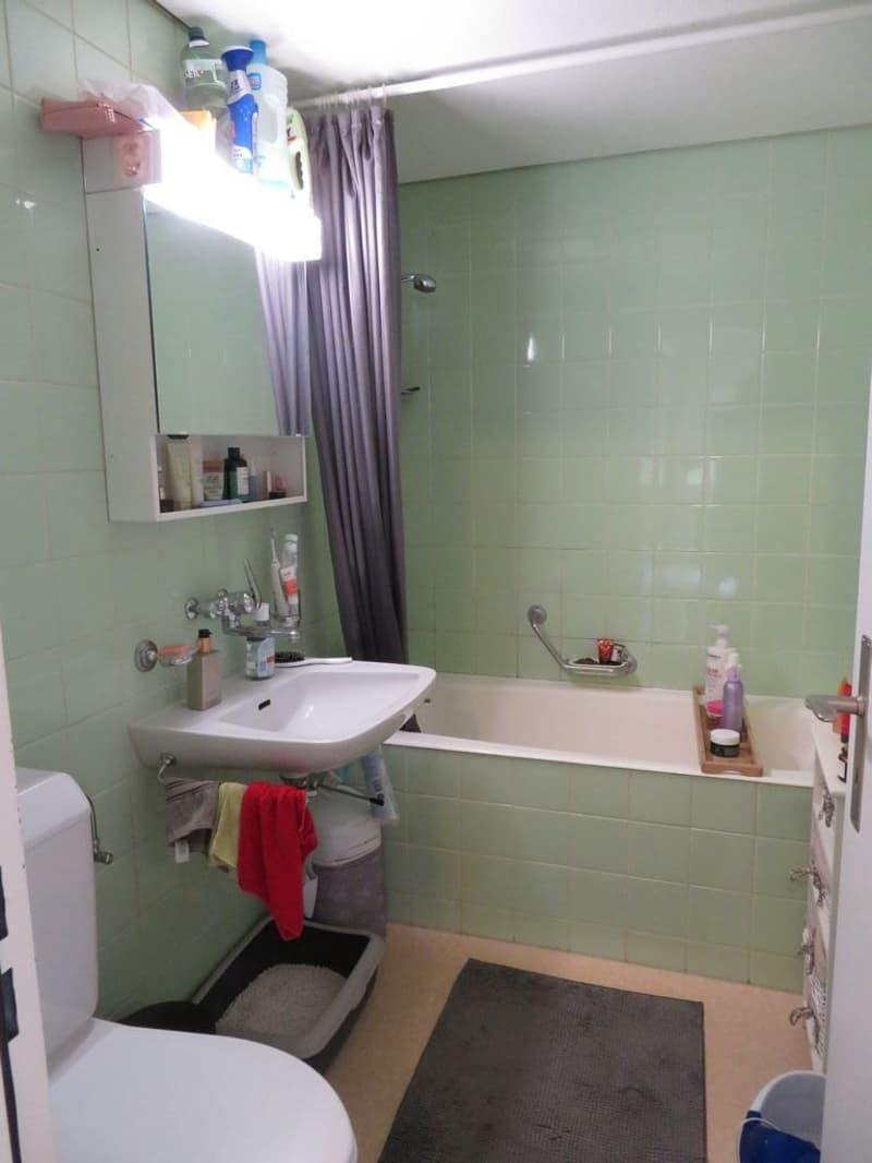 Helle 2-Zimmerwohnung mit Gartensitzplatz im Weissenbühl (7)