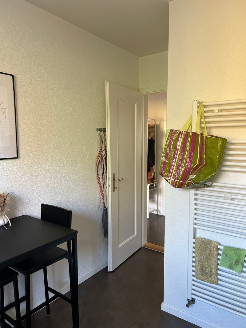Moderne 3-Zimmerwohnung im Breitenrain (8)