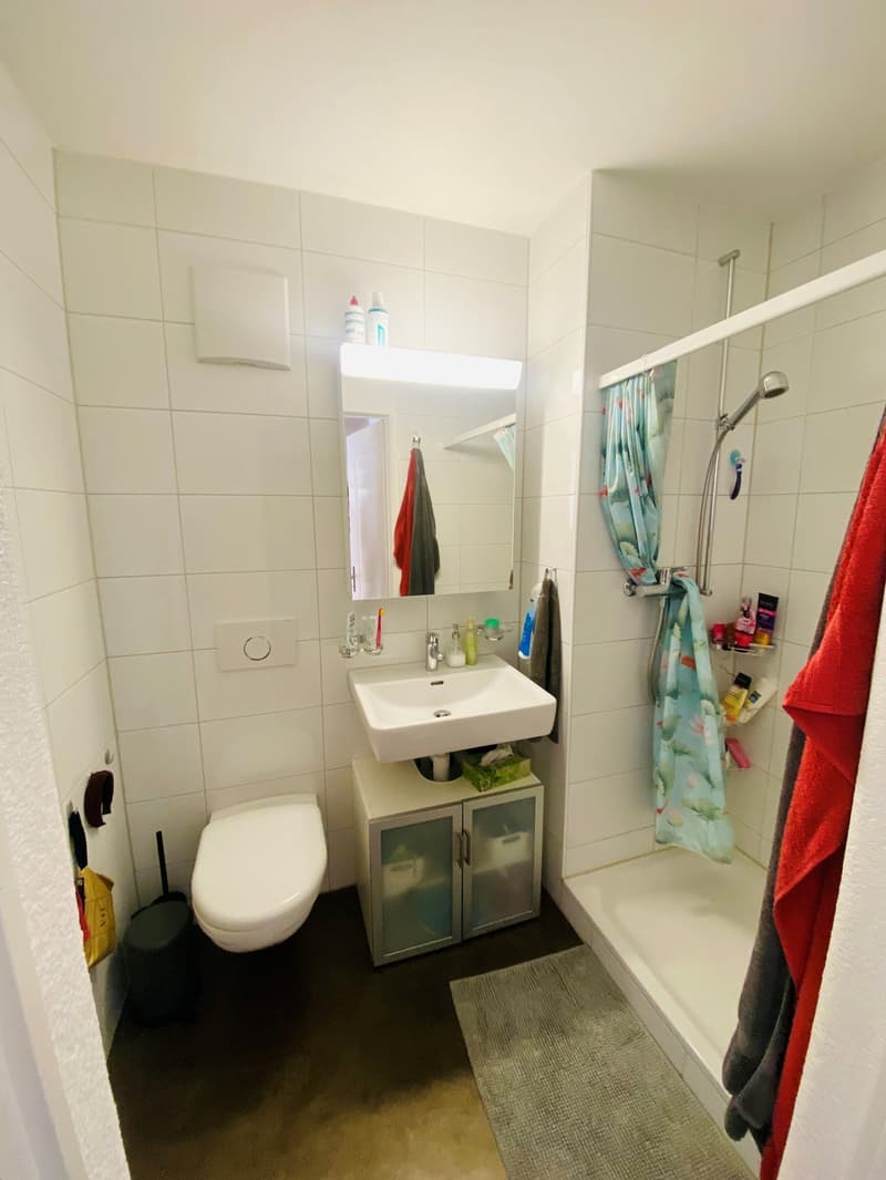 Moderne 3-Zimmerwohnung im Breitenrain (9)