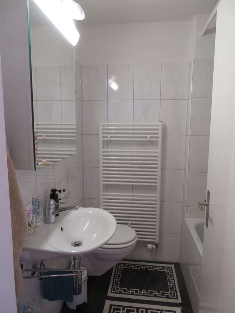 Wohntraum im Muri b. Bern (10)