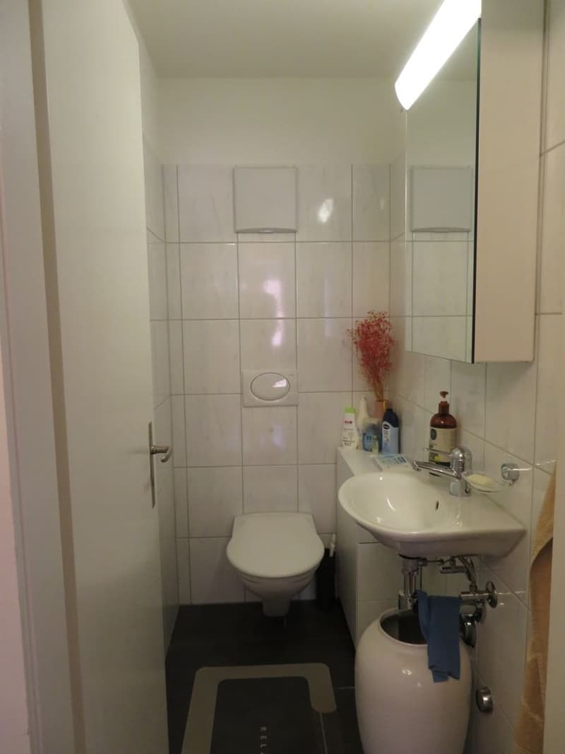 Wohntraum im Muri b. Bern (9)
