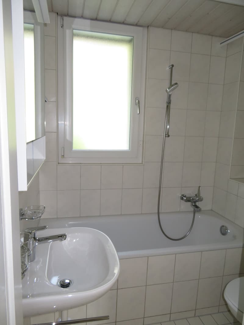 Frisch sanierte 2 Zimmerwohnung nahe Bahnhof Papiermühle (8)