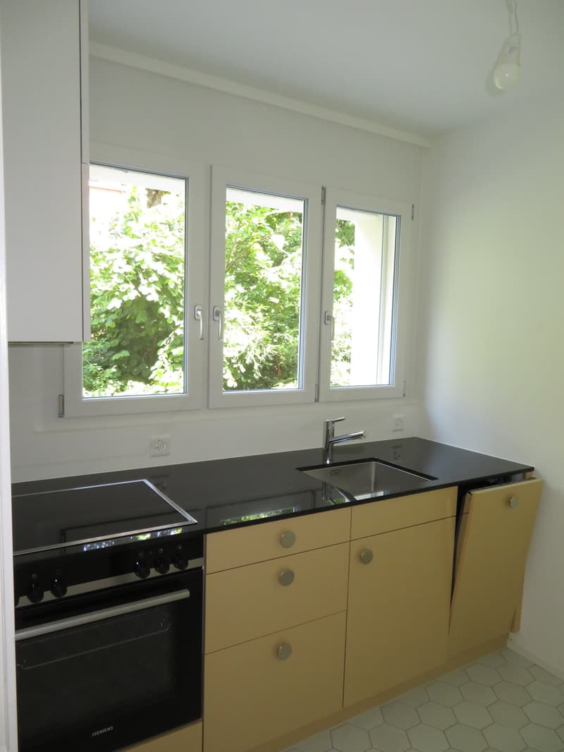 Frisch sanierte 2 Zimmerwohnung nahe Bahnhof Papiermühle (3)