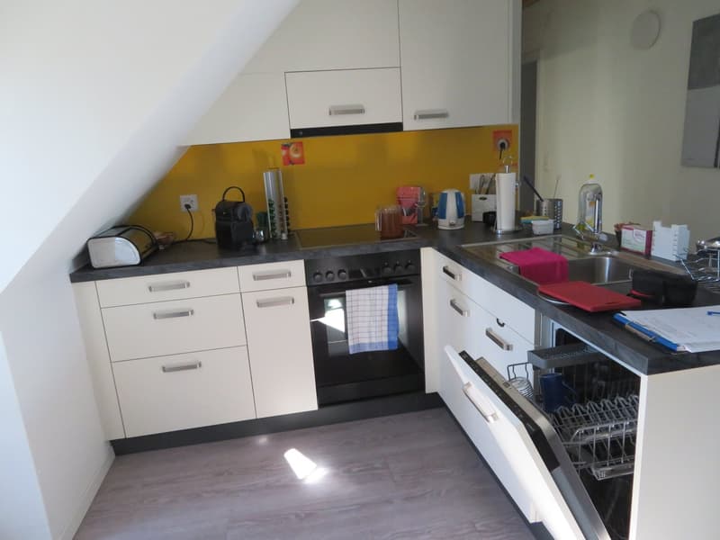 2.5-Zimmer-Dachwohnung zu vermieten (2)
