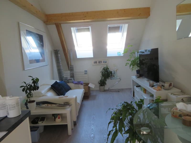 2.5-Zimmer-Dachwohnung zu vermieten (5)