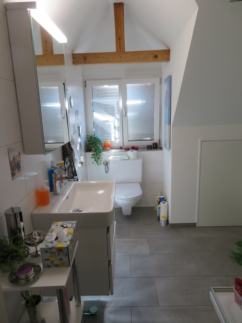 2.5-Zimmer-Dachwohnung zu vermieten (3)