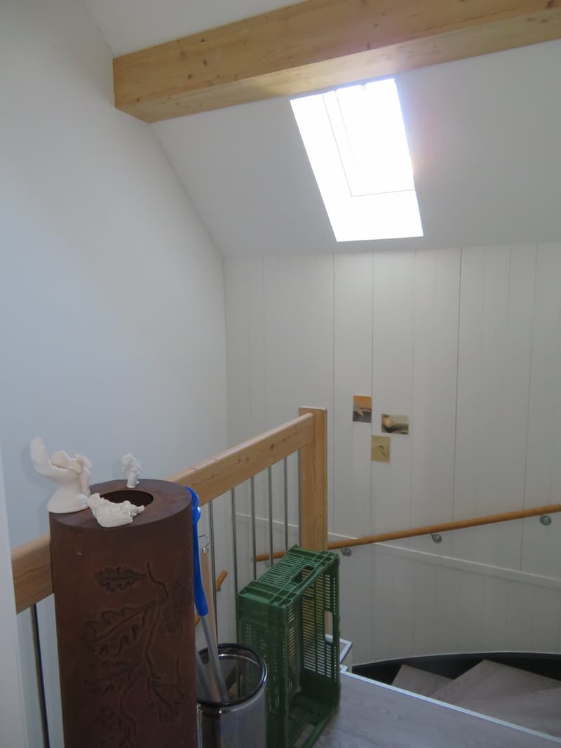 2.5-Zimmer-Dachwohnung zu vermieten (4)