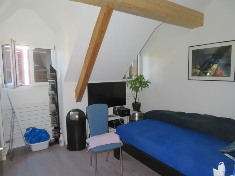2.5-Zimmer-Dachwohnung zu vermieten (6)