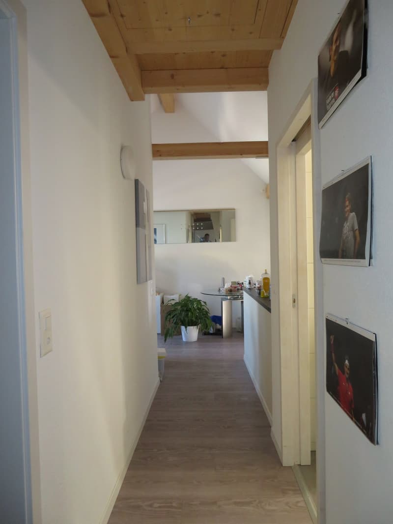 2.5-Zimmer-Dachwohnung zu vermieten (8)