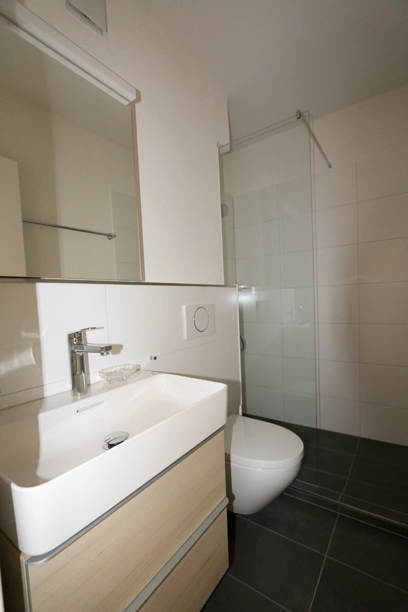frisch renovierte 3-Zimmer-Wohnung in zentraler Berner Lage (2)